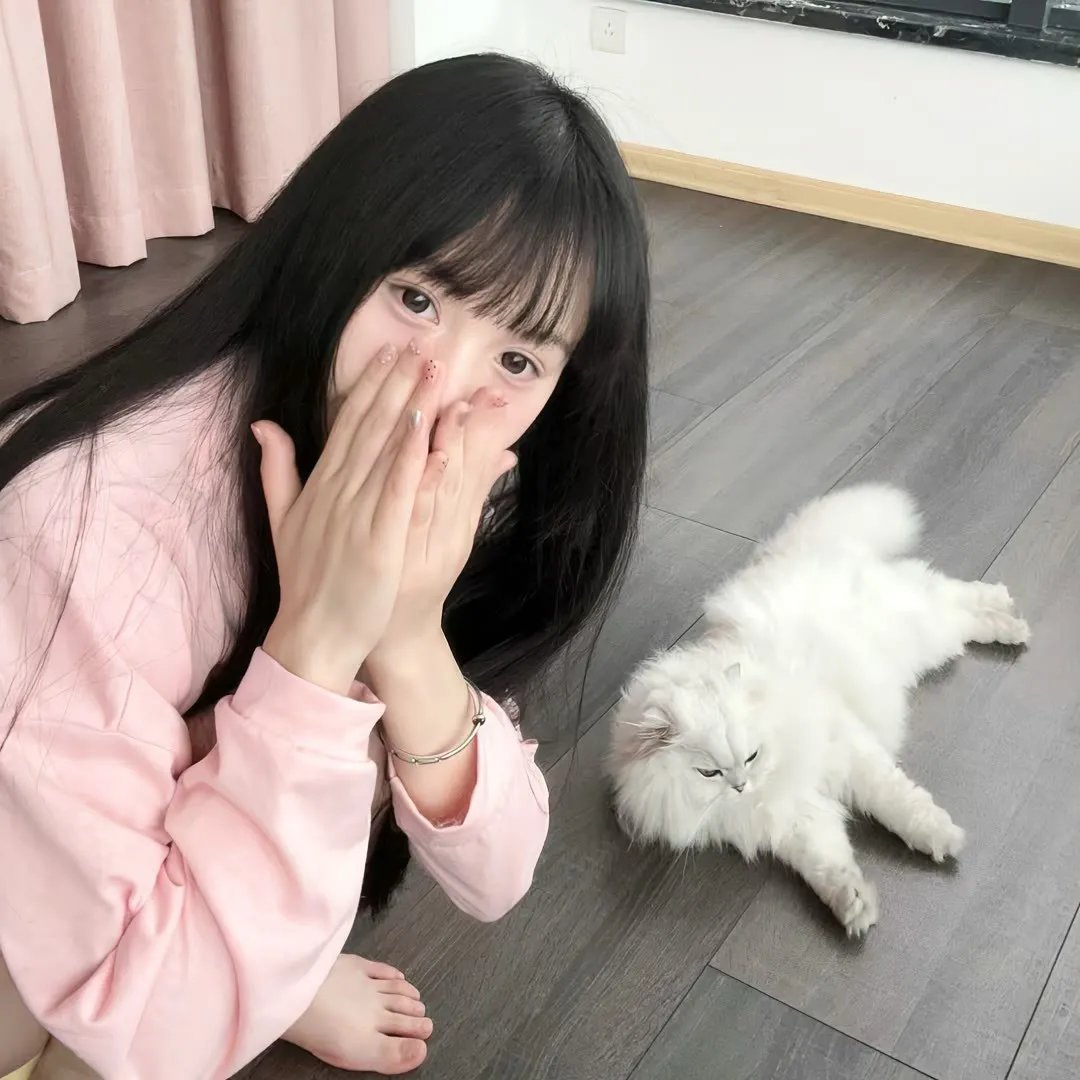 独战